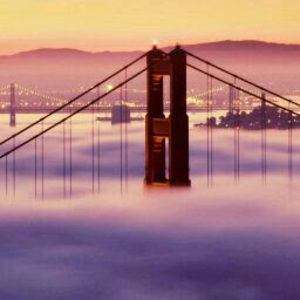 Meet your Posher, Breauna